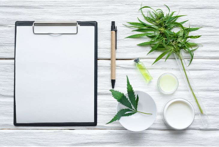 How Long Do Autoflowering Cannabis Plants Take to Harvest