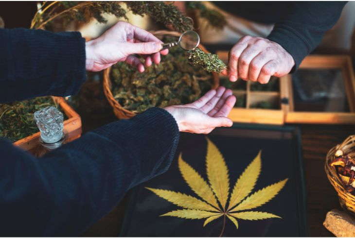 How to Easily Buy Weed Online