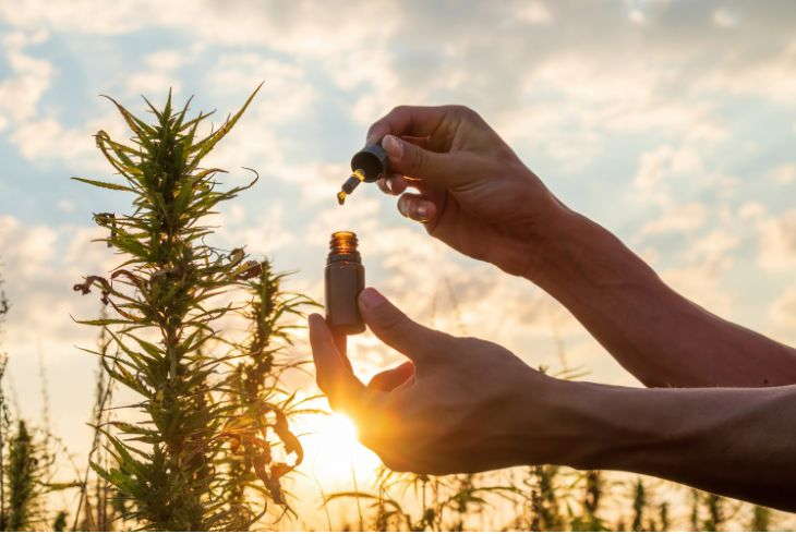 Is CBD Legal For the Brazilian Chamber
