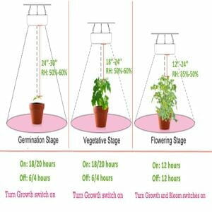 LED lights definitely help in having the maximum yields