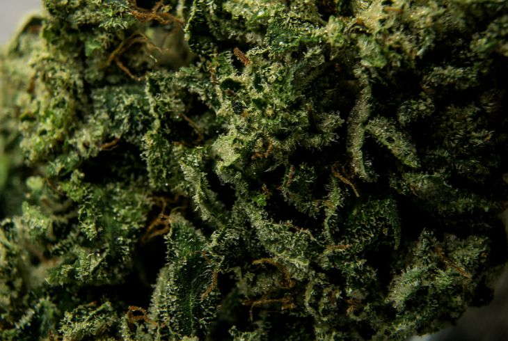 Proper Drying and Curing Technique_ Step-By-Step Guide