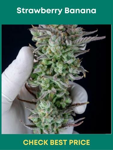 Strawberry Banana