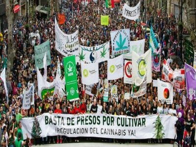 What is the Weed Culture in Argentina
