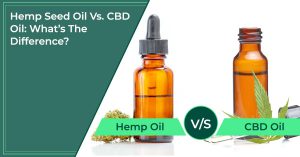 Hemp Oil Vs.-CBD-Oil