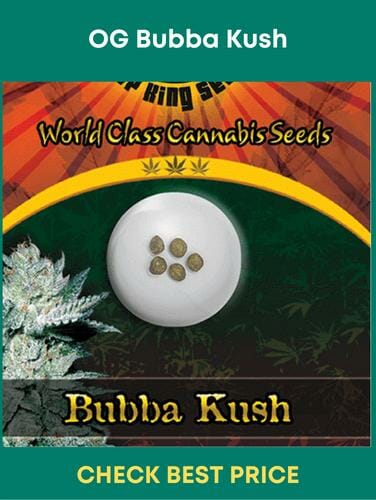 OG Bubba Kush