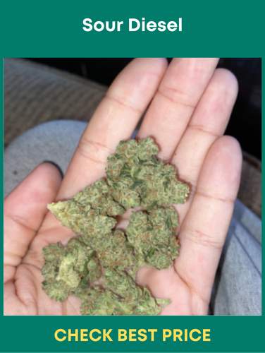 Sour Diesel