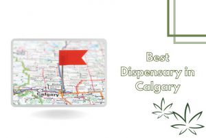 Best Dispensary in Calgary