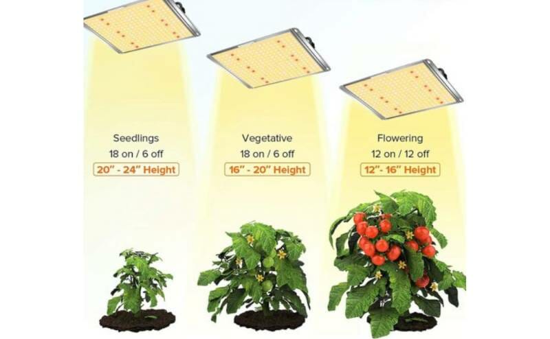 perfect height to hand led lights