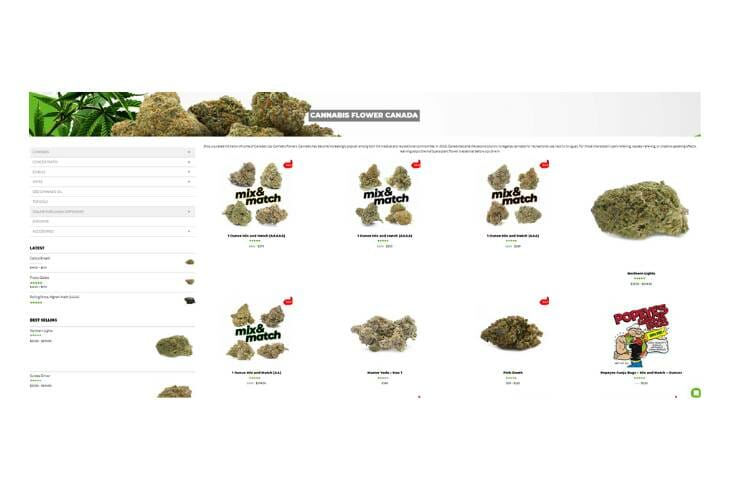 Cannabis