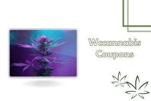WcCannabis Coupons
