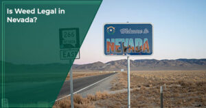 Is Weed Legal in Nevada