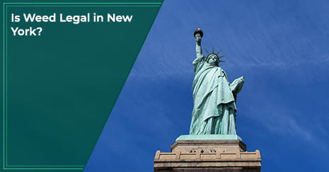 Is Weed Legal in New York