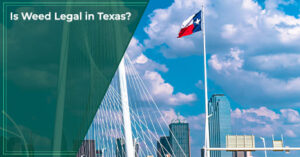 Is Weed Legal in Texas