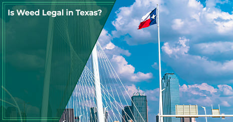 Is Weed Legal in Texas