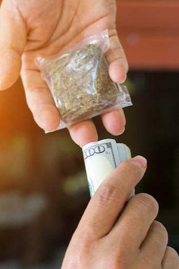 It Will Phase Out Cannabis in the Black Market