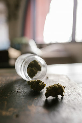 Missouri’s State-Level Cannabis Journey