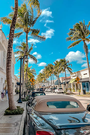 Palm Beach County 