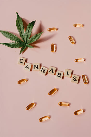 What You Need to Know About Medical Cannabis in Texas