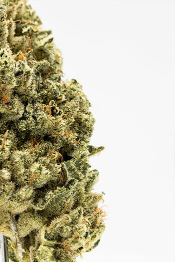 What’s Oklahoma’s Future in Cannabis