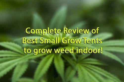 Top 15 Best 2x2 3x3 4x4 Small Grow Tents Complete