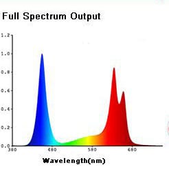 Spectrum Output of Mars Hydro 600W Review