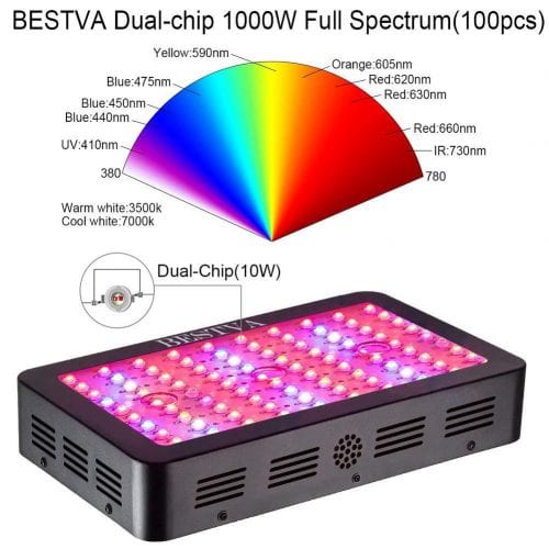 Best 1000 watt LED grow light