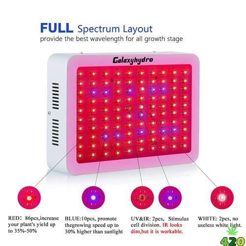 Roleadro 1000W LED Grow Light Spectrum Layout.jpg