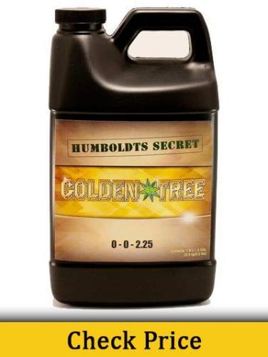 Humboldts Secret Golden Tree