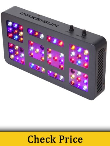 Maxisun Dimmable 300W LED grow light review.jpg