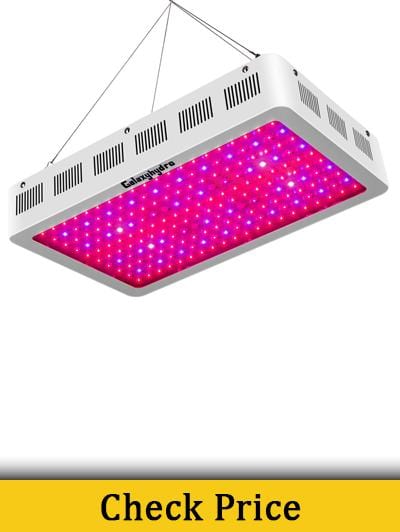 Roleadro Galaxyhydro 2000W LED Grow Light Reviews