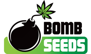 BOMB Marijuana Seed Bank Review