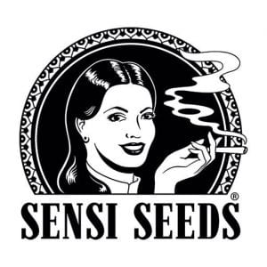 Sensi Seeds seed bank - Amsterdam