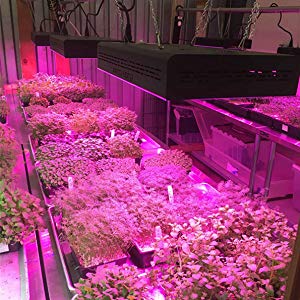 MarsHydro 600W LED Grow light review coverage