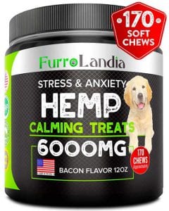 Top 7 CBD & Hemp Oil Dog Treats Review – Edibles to Calm Your Anxious Dogs