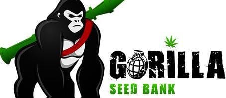 Gorilla Seed Bank Review – 9.1/10 Star Rating by 2,200+ Customers