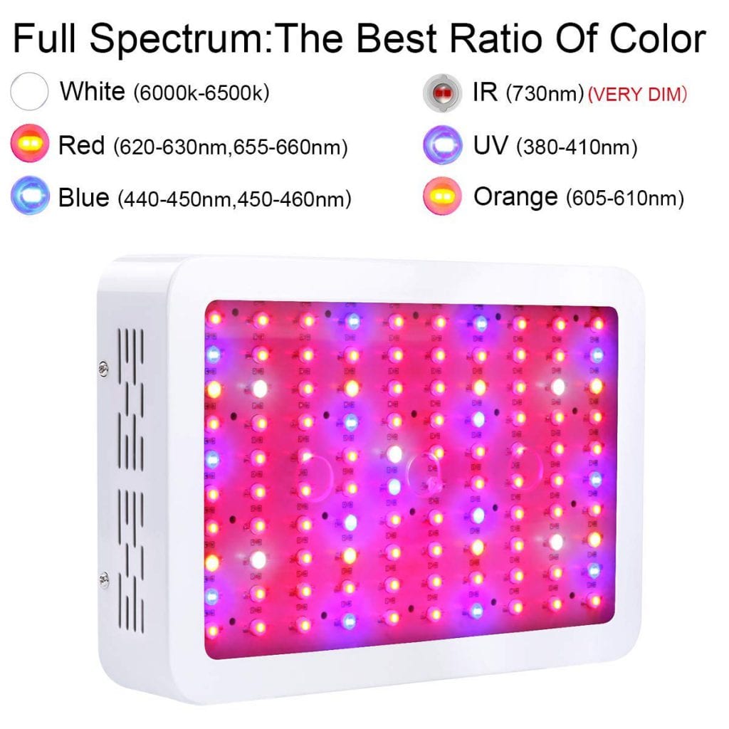 King Plus 1000w LED review: Full Spectrum