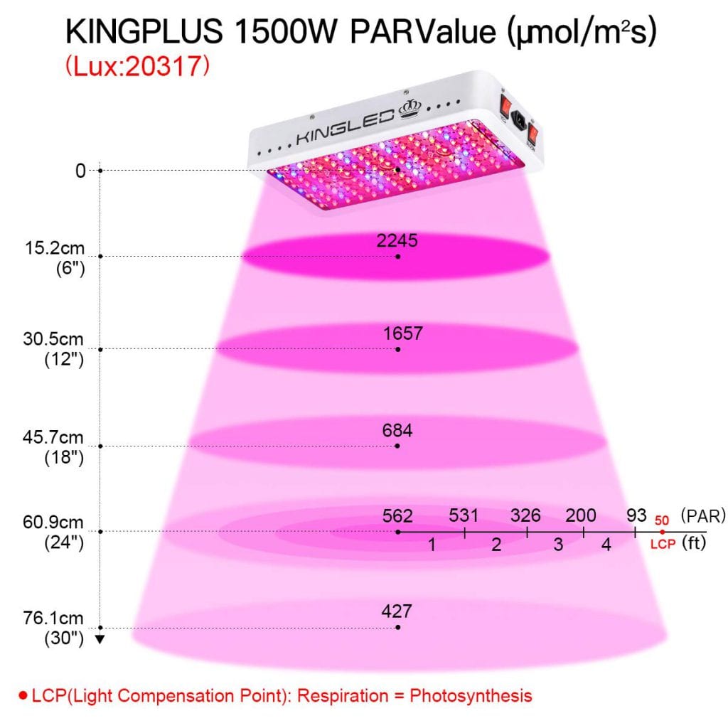 King Plus 1500w LED grow light review: Core Coverage Area