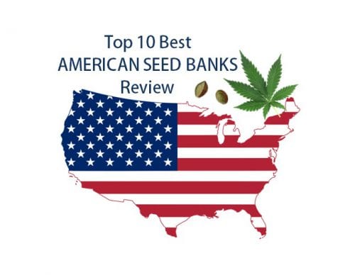 best-american-seed-banks-review