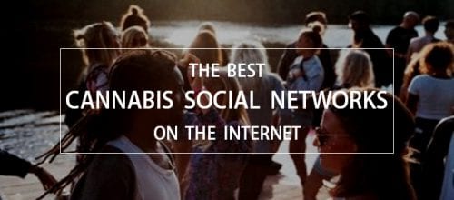 best cannabis social networks on the internet