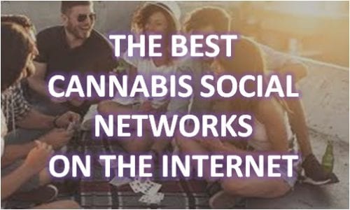 the best cannabis social networks