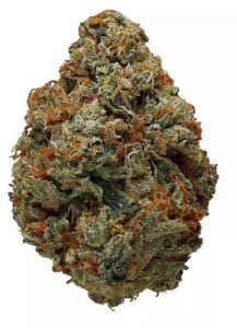 OG-KUSH-cannabis-strain