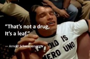 Arnold Schwarzenegger weed quote