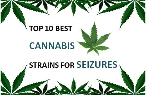 best cannabis strains for seizures