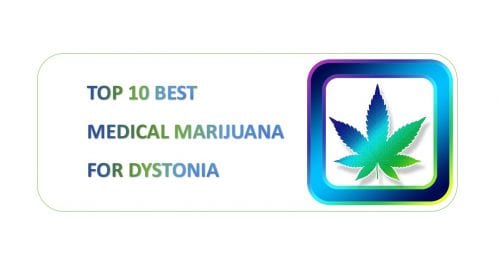 best cannabis strains for dystonia muscle spasms