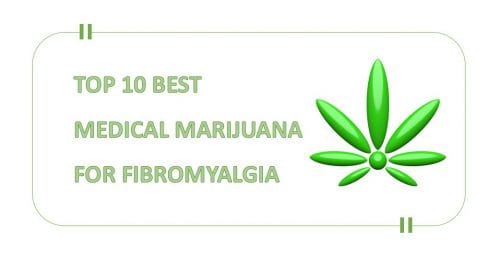 Best Cannabis Strains for Fibromyalgia