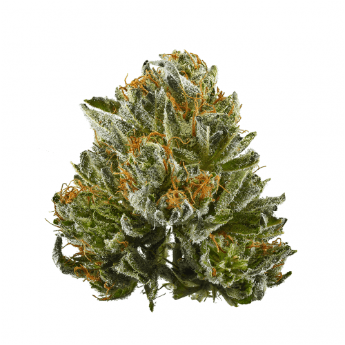 bubba-kush-cannabis-strain