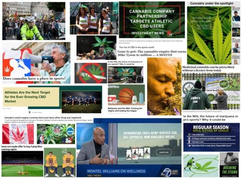 cannabis in sports - news updates
