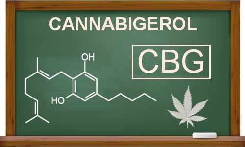 what is CBG in cannabis - cannabigerol