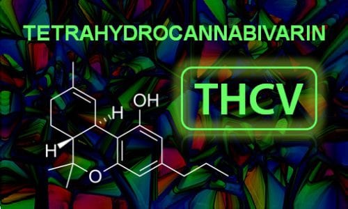 what is THCV in cannabis