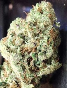 white fire OG cannabis strain